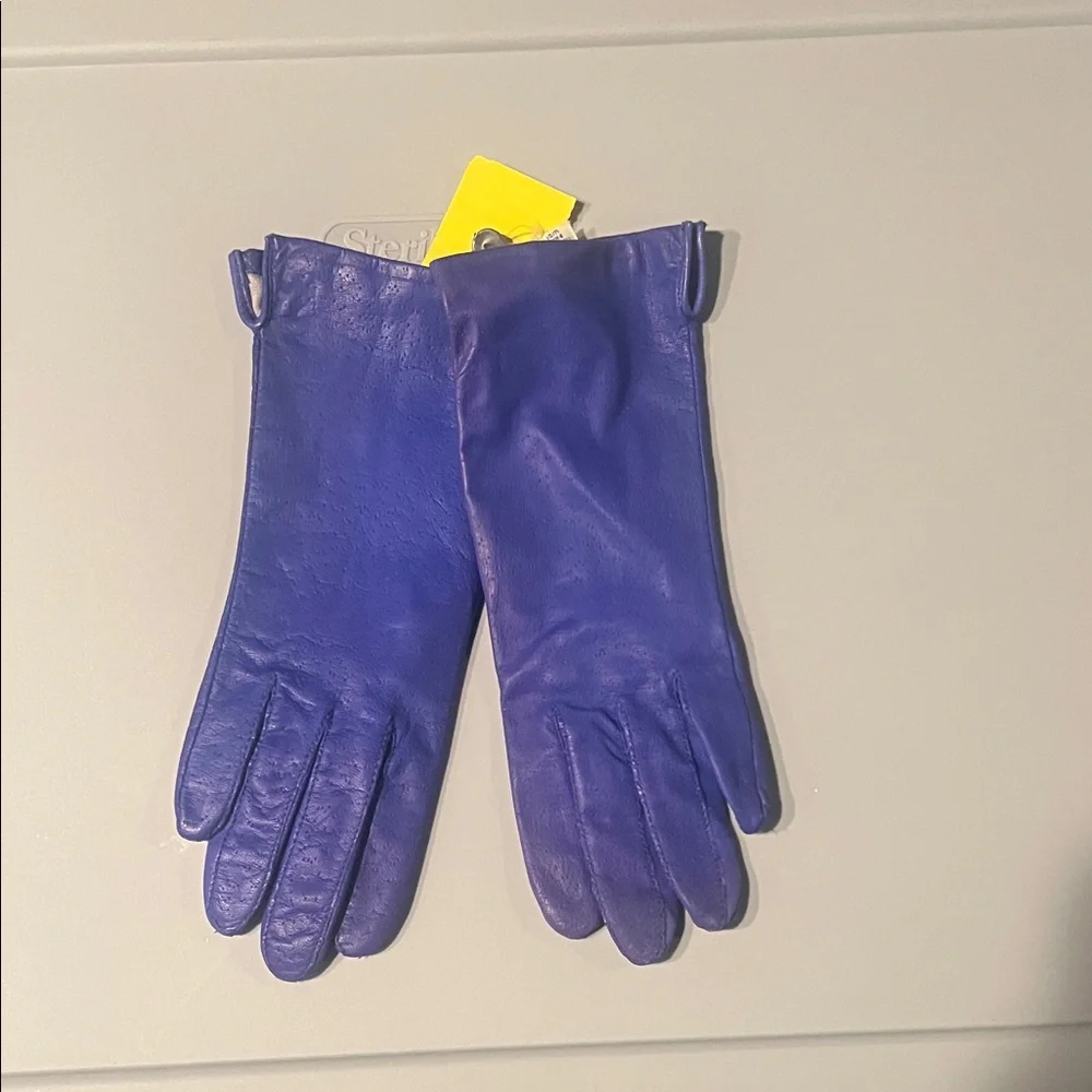 Elegant Blue Leather Gloves